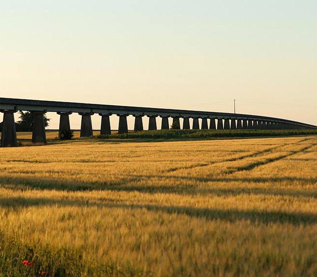 Elevated concrete viaduct over a wheat field